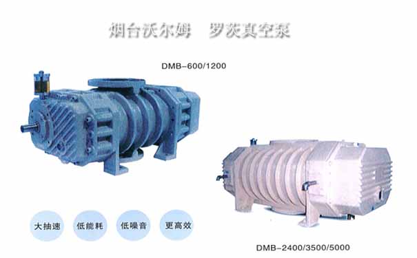 VOLM罗茨真空泵-leyu(中国) VOLM罗茨真空泵-leyu(中国)