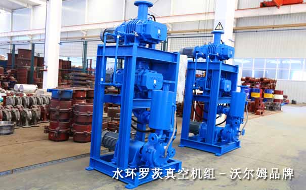 水环罗茨真空机组-沃尔姆罗茨水环真空机组厂    图2