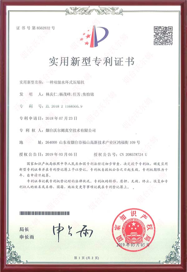 【专利】一种双级水环式压缩机