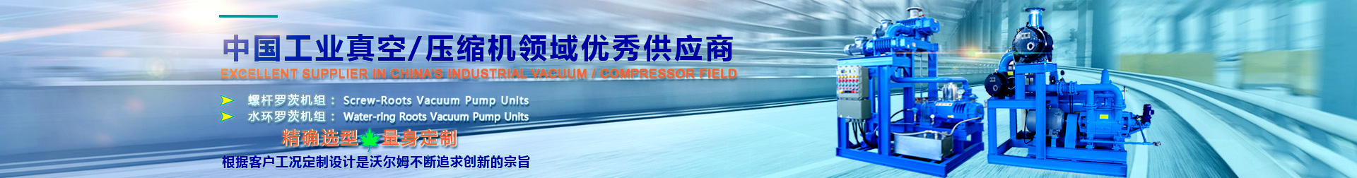 水环罗茨机组